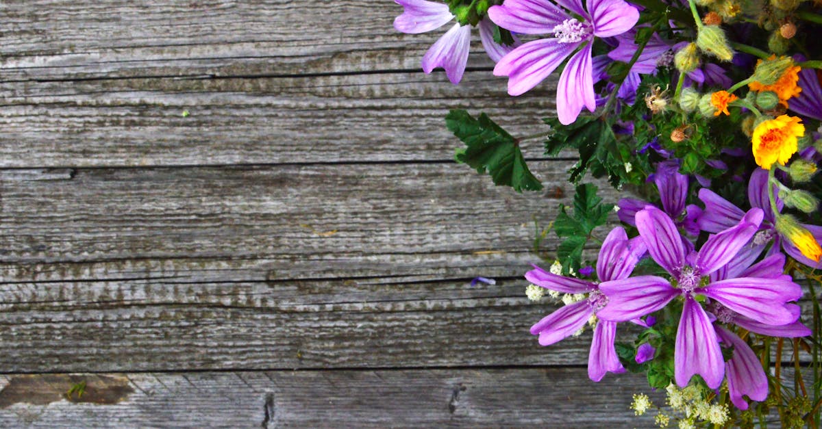 Benefits of Using Permeable Paving Materials in Hardscaping