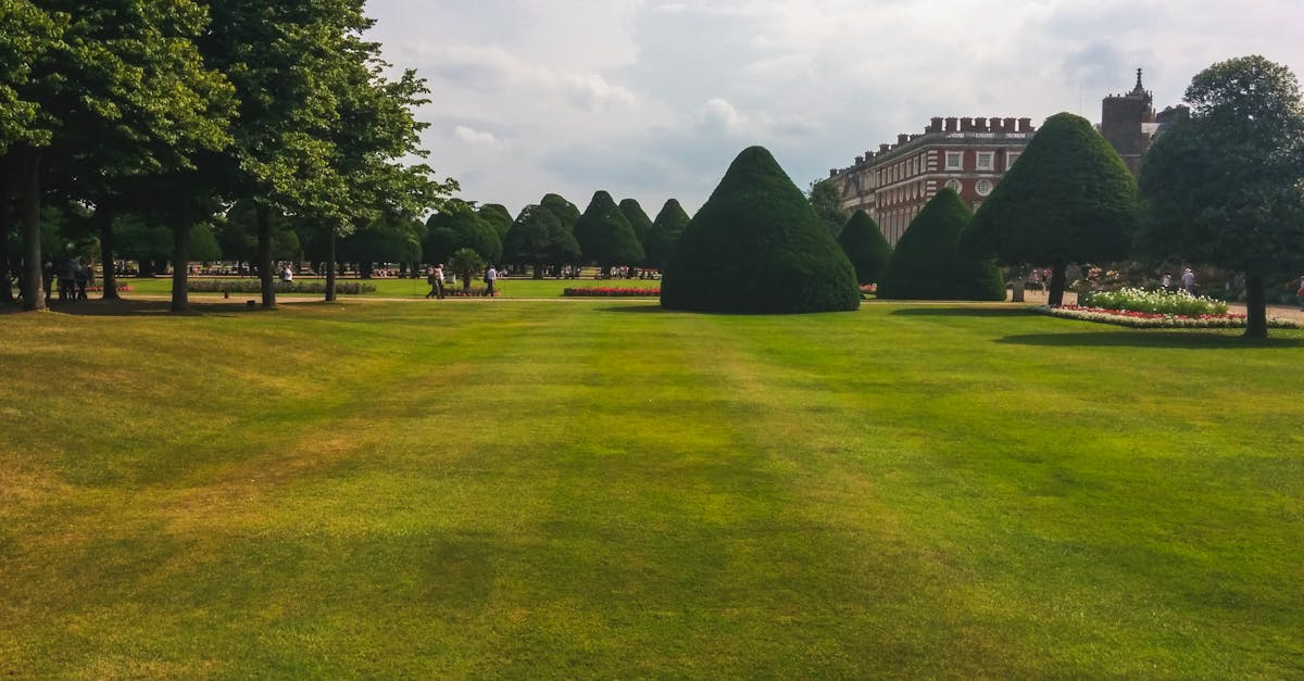 Colour Theory in Outdoor Space Design