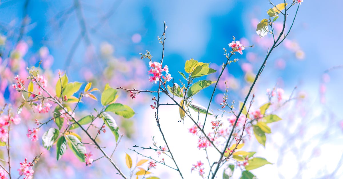 Creative Methods for Watering Difficult Garden Areas