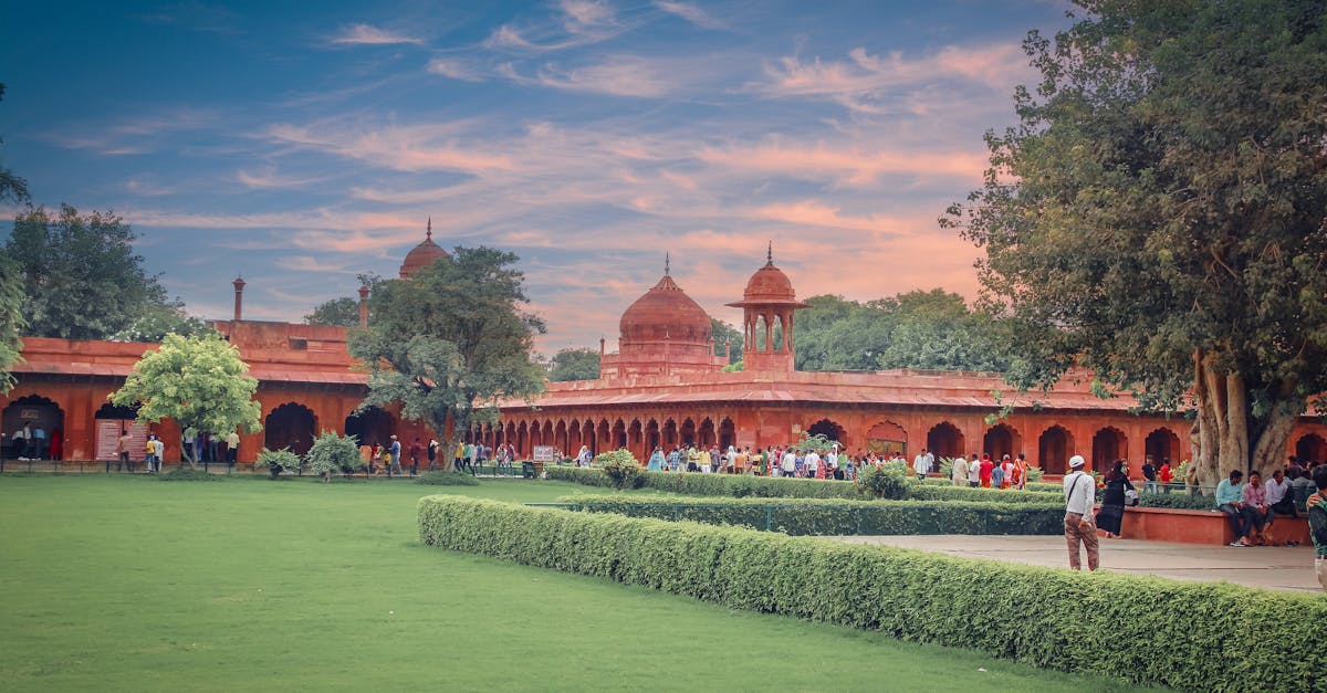 Designing a Winter Garden with Evergreens and Hellebores