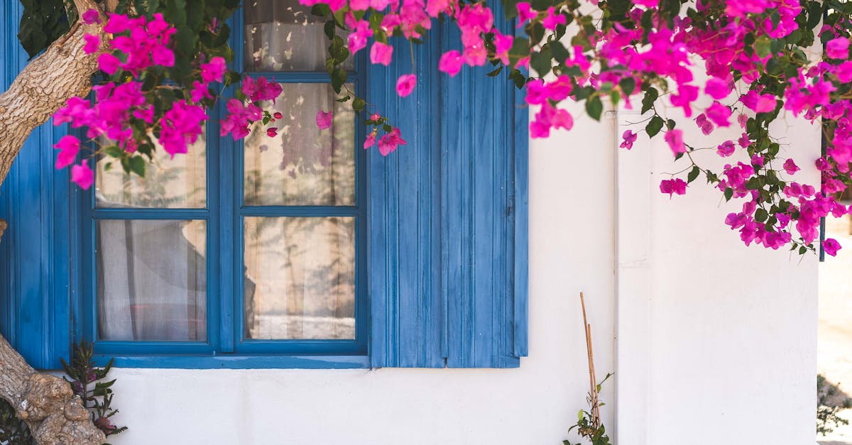 Designing Pathways to Enhance Flow in Gardens