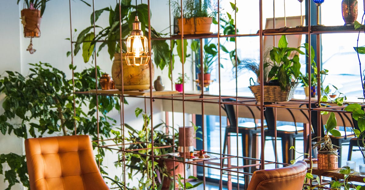 Growing Superfoods in Your Backyard