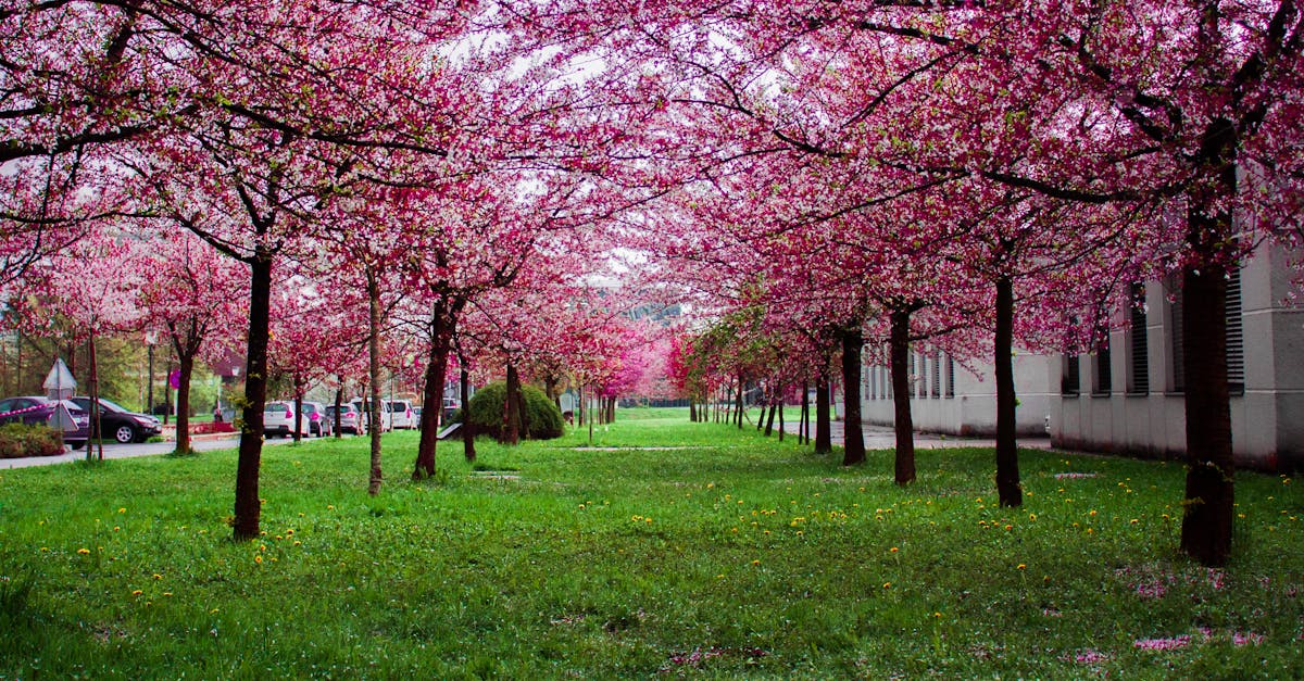 Integrating Garden Zones for Functional Spaces