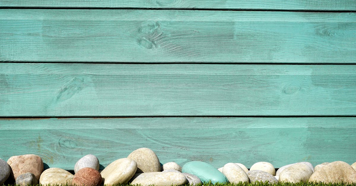 Maximising Colour in Your Garden Through Seasonal Planting