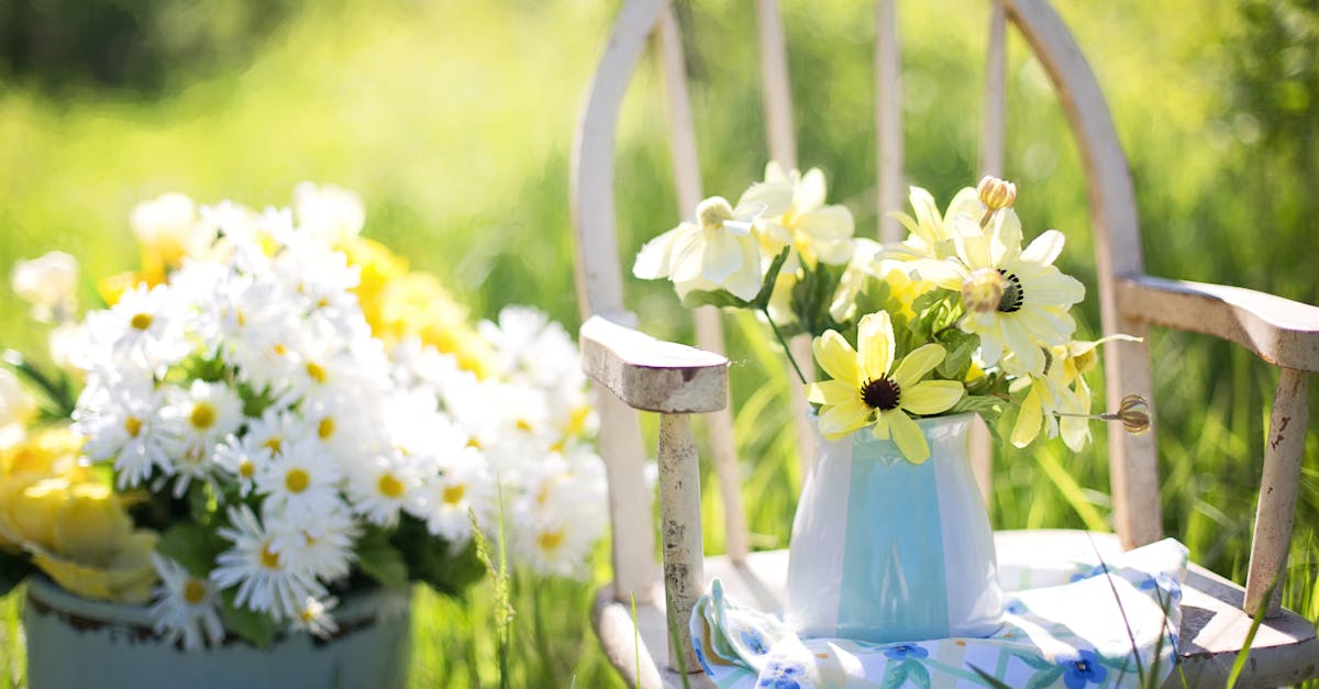 Preparing Your Garden for Seasonal Transitions: A Maintenance Checklist