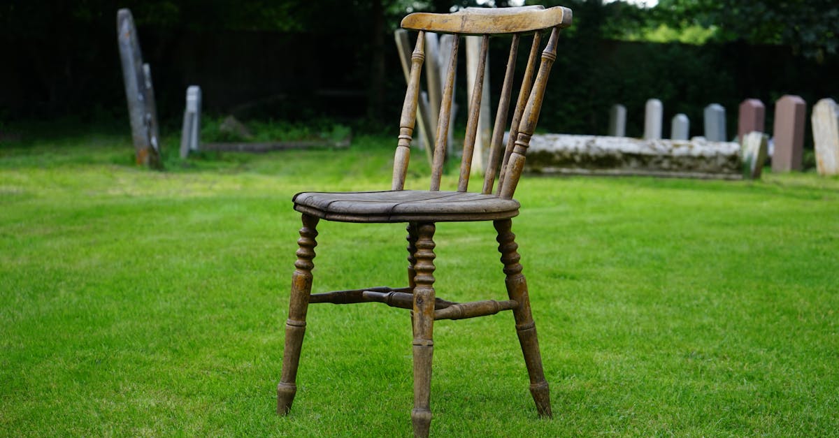 Seasonal Blooming Shrubs for Added Texture