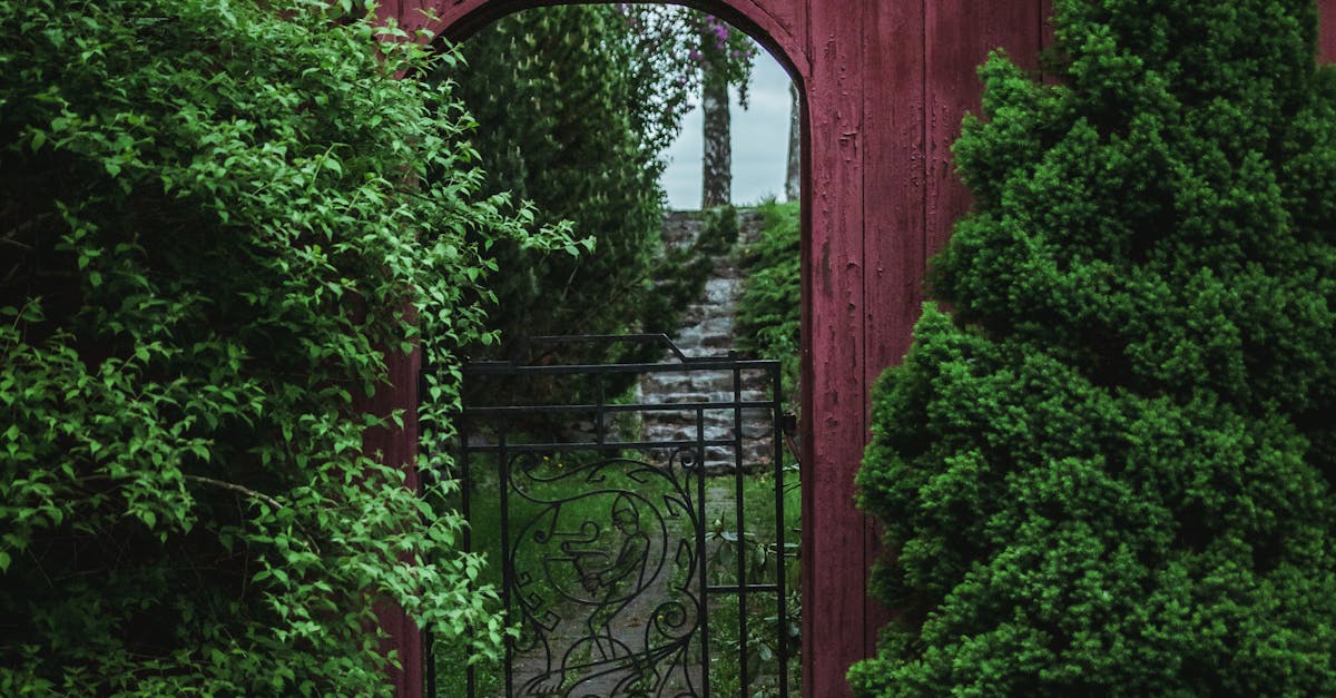 Selecting Paving Materials for Durability and Aesthetics