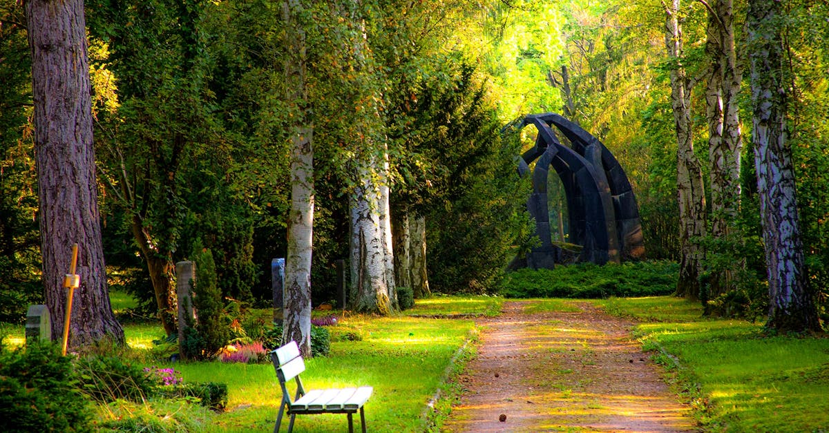 The Benefits of Composting for Soil Fertility