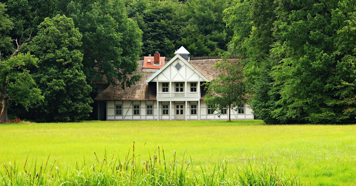 The Importance of Mulching for Soil Health and Moisture Retention