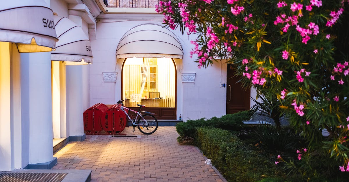 The Role of Beneficial Insects in Pest Control Strategies