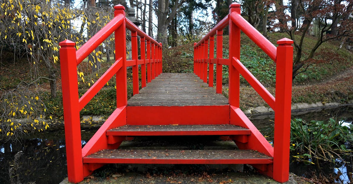 Timing Your Pruning: When to Cut for Best Results